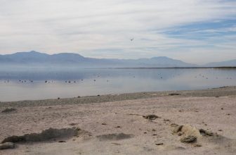California’s Salton Sea Is Emitting Way More Toxic Gas Than We Thought