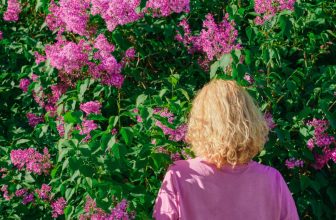 Things Humans Still Do Better Than AI: Understanding Flowers