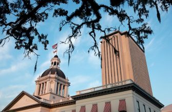 Florida is suing several porn companies over age verification