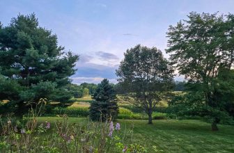 The Little Things Newsletter #485 – Life, laughter, and lots of great food!