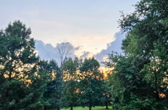 The Little Things Newsletter #488 – Life, laughter, and lots of great food!