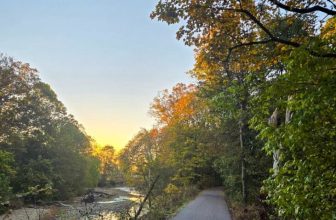 The Little Things Newsletter #491 – Life, laughter, and lots of great food!