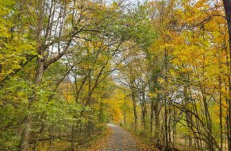 The Little Things Newsletter #492 – Life, laughter, and lots of great food!