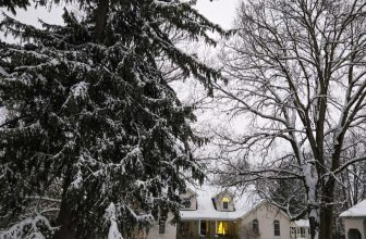 The Little Things Newsletter #498 – Life, laughter, and lots of great food!